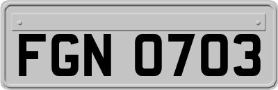 FGN0703