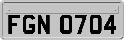 FGN0704