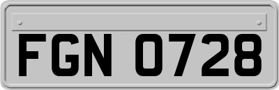 FGN0728