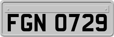 FGN0729