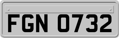 FGN0732