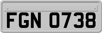 FGN0738