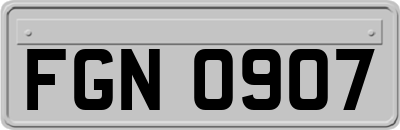 FGN0907