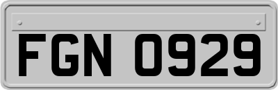 FGN0929