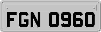 FGN0960