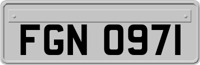 FGN0971