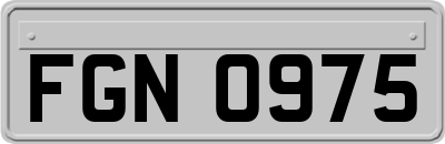 FGN0975
