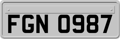 FGN0987
