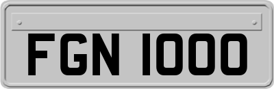 FGN1000