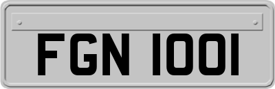 FGN1001