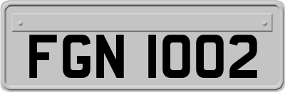 FGN1002