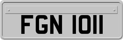 FGN1011