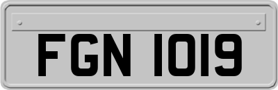 FGN1019
