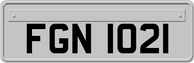 FGN1021
