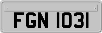 FGN1031