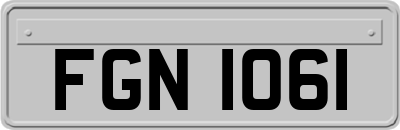 FGN1061