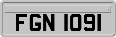 FGN1091