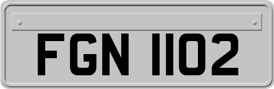 FGN1102