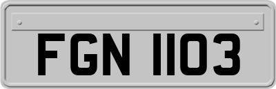 FGN1103