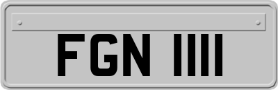 FGN1111