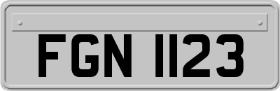FGN1123