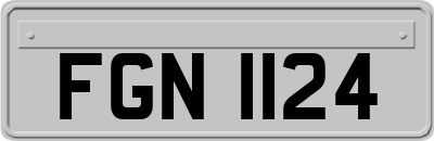 FGN1124