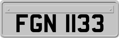 FGN1133