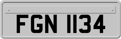 FGN1134