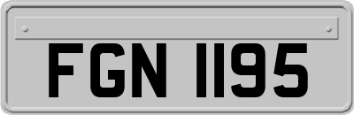 FGN1195