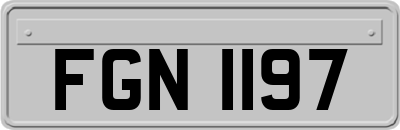 FGN1197