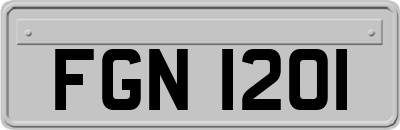 FGN1201