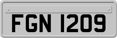 FGN1209