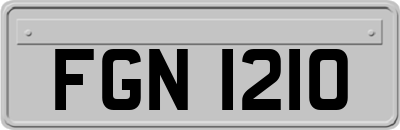 FGN1210