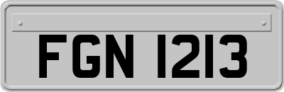 FGN1213