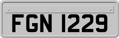 FGN1229