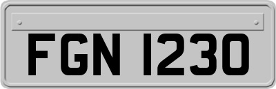 FGN1230