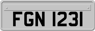 FGN1231