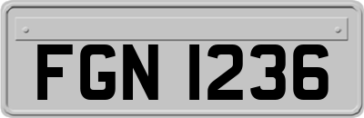 FGN1236