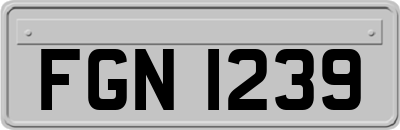 FGN1239