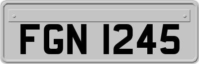 FGN1245