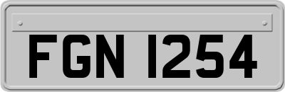 FGN1254