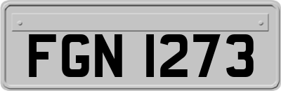 FGN1273