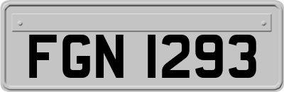 FGN1293