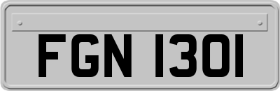 FGN1301