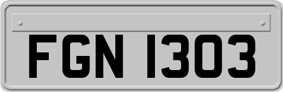 FGN1303