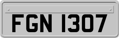 FGN1307