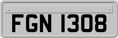 FGN1308
