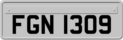 FGN1309