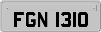 FGN1310
