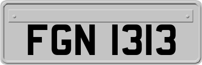 FGN1313